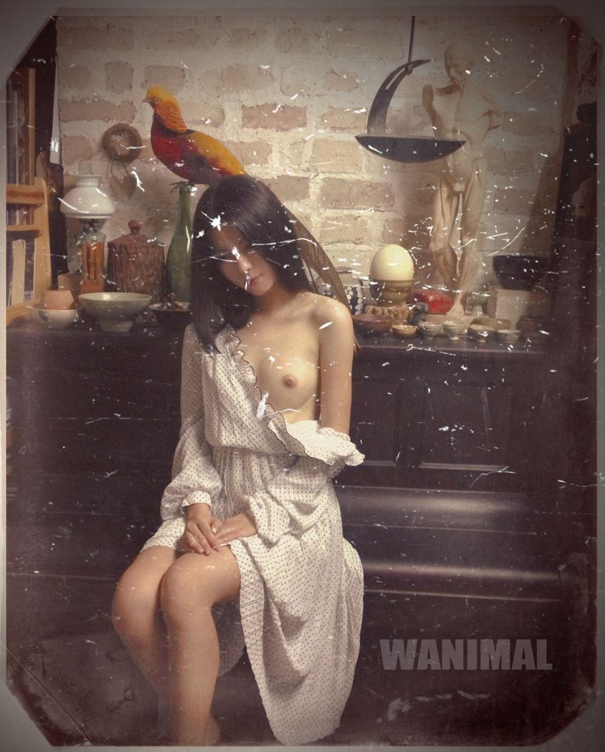 [100P] WANIMALƷ ʥ (ʮ) ר 1ҳ 