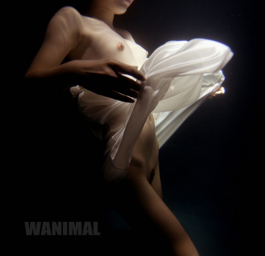 [100P] WANIMALƷ ʥ (ʮ) ר 1ҳ 