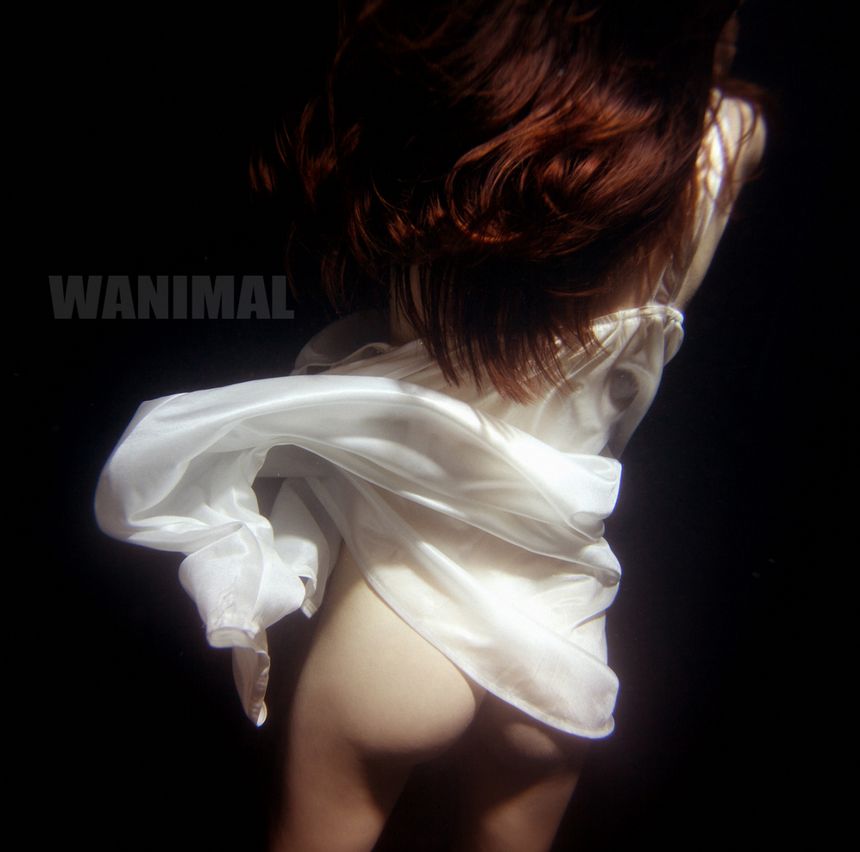 [100P] WANIMALƷ ʥ (ʮ) ר 1ҳ 