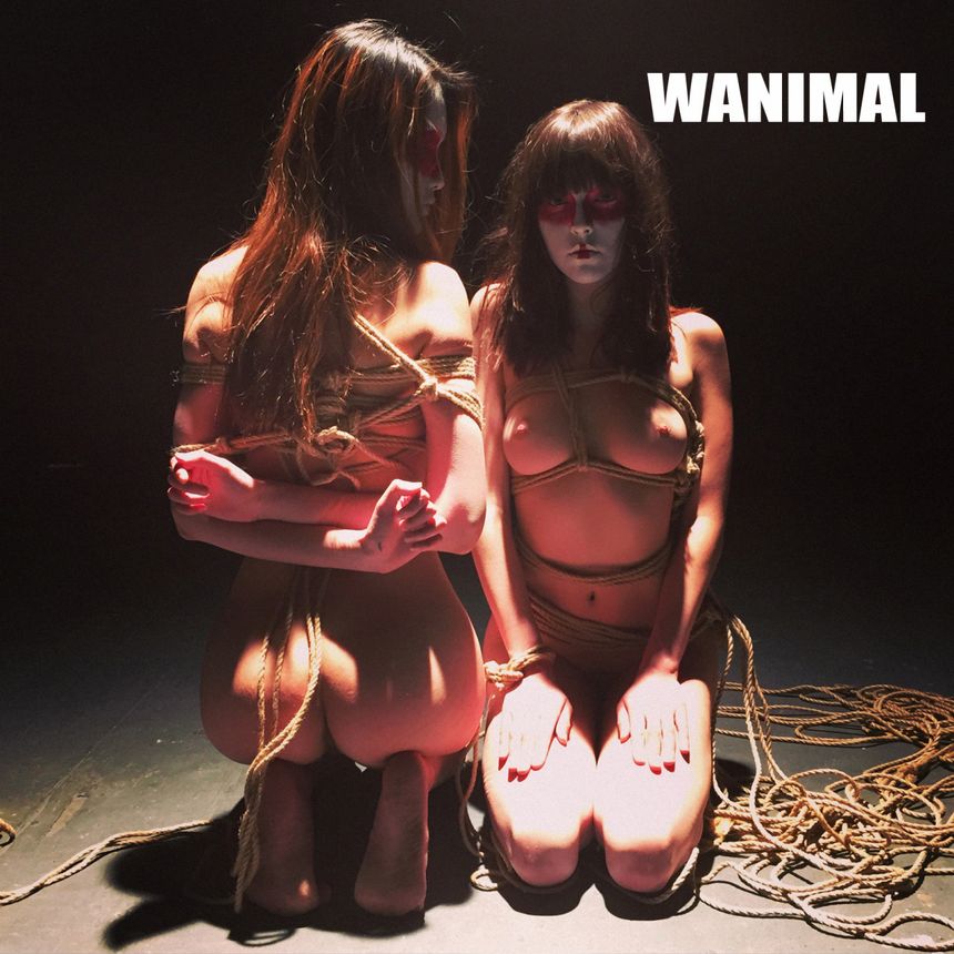 (ʮ) ܼ WANIMALƷ ʥ [64P] 5ҳ 