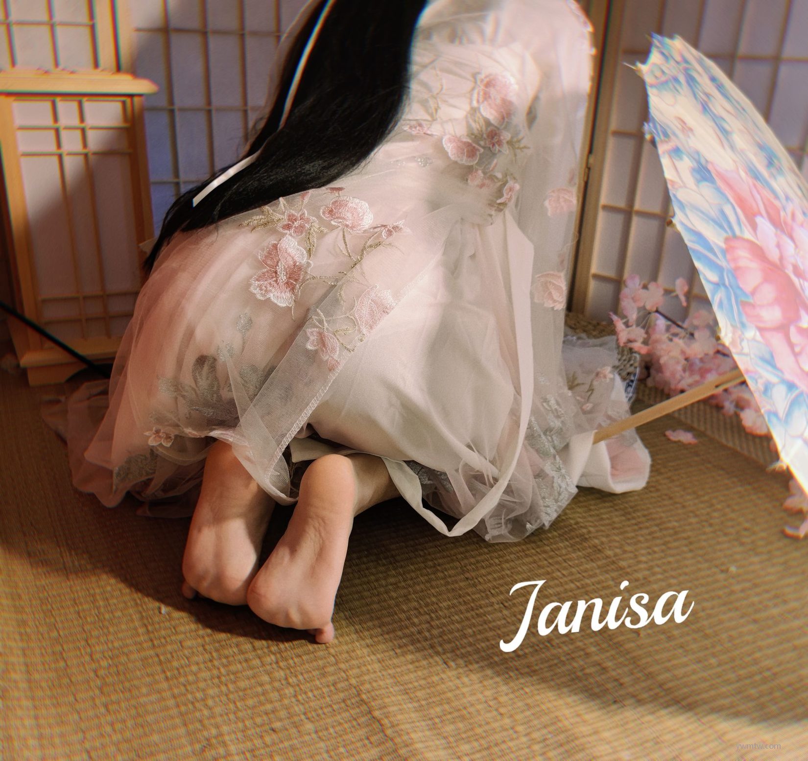 Janisa  ͼ պŮӰ 1ҳ 